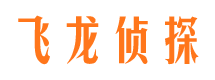 精河侦探公司